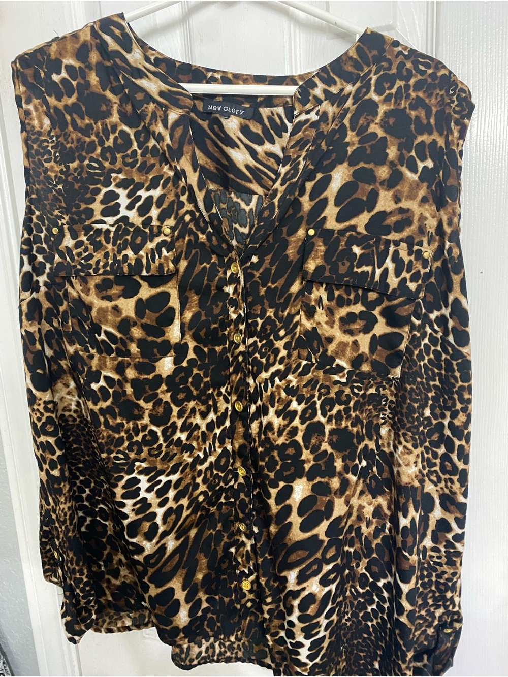 Leopard Print Button-Front Blouse - Brown/Black